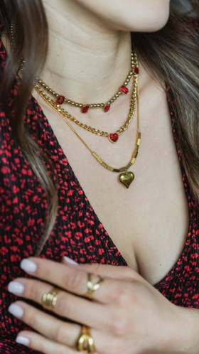 DSC003237